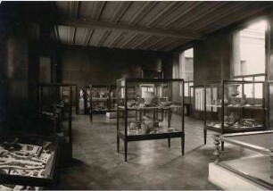 Aufstellung der Antikensammlung im Alten Museum, Antiquarium, Saal 6, Bronzegeräte und Gefäße aus Pergamon und Priene