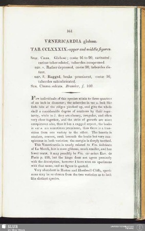 Venericardia globosa. Tab. CCLXXXIX. - upper and middle figures