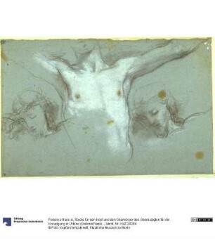Studie für den Kopf und den Oberkörper des Gekreuzigten für die Kreuzigung in Urbino (Galleria Nazionale delle Marche)