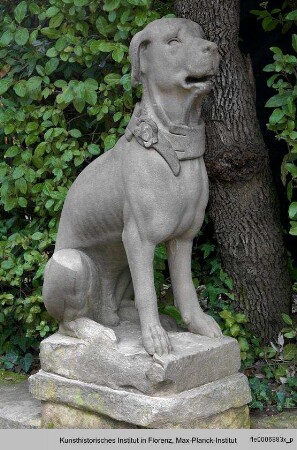 Zwei sitzende Hunde