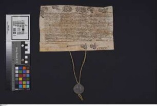 Wimpfen: Papst Clemens XIV. bekundet, daß er [für das Stift Wimpfen ... ?]