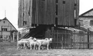 Schönwölkau-Hohenroda. Bockmühle, Detail