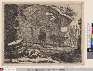 [Hunde in einer Ruine; Dogs in a Ruin]