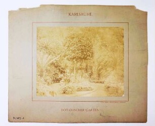Georg Maria Eckert: Botanischer Garten
