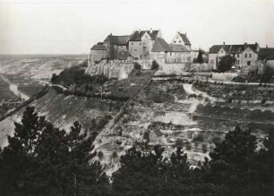 Freyburg, Schloss Neuenburg : Freyburg. Schloss Neuenburg mit Blick auf Weinberg und Unstrut