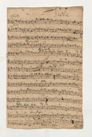 Viola [transp.]