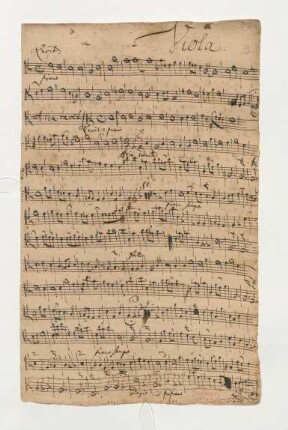 Viola [transp.]