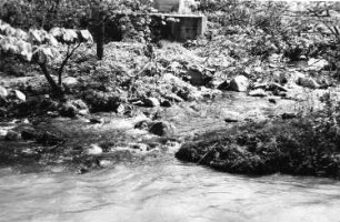 Triebischtal-Robschütz. Zusammenfluß von kleiner Triebisch und Triebisch hinter der unteren Robschützer Papierfabrik