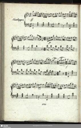 [No.324.] Galoppe