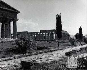Italien. Paestum: Alte Straße - (links angeschnitten) der Neptuns-Tempel und rechts die sogenannte Basilica