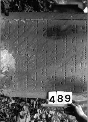 Grabstein 489 (Index: 99803808) Material: Sandstein Zustand: unten abgeblättert/Textverlust Maße HxBxT: 114x62x13 cm Beschreibung: Stele mit eingezogenem Rundbogen, profiliert. Rand, Seitenakroterien Symbolik: Seitenakroterien: Grabstein 489 (Detailaufnahme)