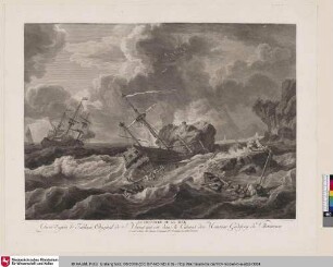 LE DESASTRE DE LA MER