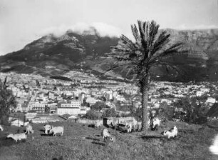 Blick auf Kapstadt mit Tafelberg : Kapstadt. Stadtansicht mit Tafelberg (1087 m hoch). Blick vom Signal Hill, 1933/1934