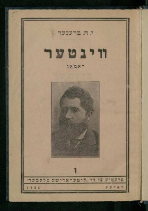 Ṿinṭer : roman