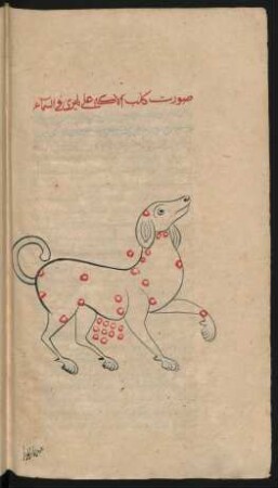 Illustration: Sternbild des großen Hundes