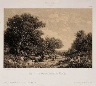 Paysage, Caractère du Duché de Holstein.