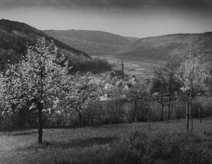 Archivfotografie "neckar_neckargerach_6054"