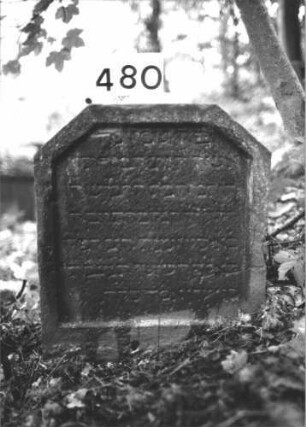 Grabstein 480 (Index: 100113616) Material: Sandstein Maße HxBxT: 62x53x12 cm Besonderheit: kulturhistorisch besonders wertvoll / hist.-wiss. Gründe (Alter): Grabstein 480