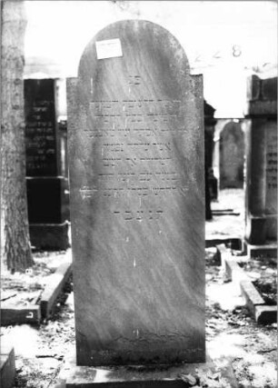 Grabstein 228 (Index: 100094437) Material: Sandstein Zustand: unten abgeblättert Maße HxBxT: 166x59x9 cm Beschreibung: Stele, Sockel, eingezogener Rundbogenabschluß: Grabstein 228