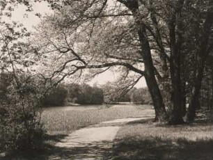 Mark Brandenburg.Märkischer See