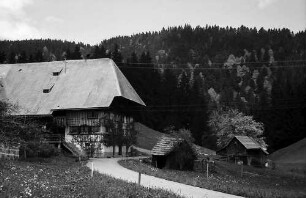 Schwarzwaldhof an der B 31 bei Breitnau mit dem Weg im Vordergrund