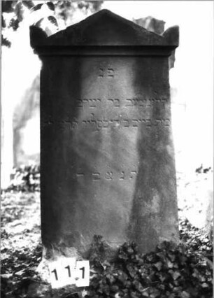 Grabstein 111 (Index: 100085520) Maße HxBxT: 112x54x12 cm Beschreibung: Stele, giebelartiger Abschluß mit Eckakroteren: Grabstein 111 (Nachholaufnahme)
