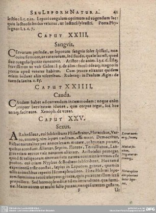 Caput XXIII. Sanguis.