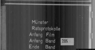 Ratsprotokolle des Jahres 1795