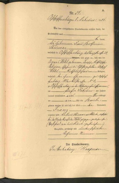 Standesamtsbuch der Stadt Aschaffenburg: Geburten 365/1900 - 184/1901
