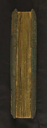 Familienalbum : Familienalbum. Samteinband mit Metallmontierung, Metallschließe und Goldschnitt; 27,5 x 21 x 6 cm (um 1900). Dresden: SLUB/DF 2017.C.85