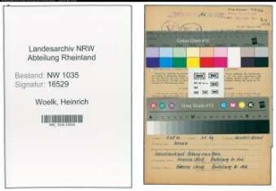 Entnazifizierung Heinrich Woelk , geb. 18.06.1909 (Kaufmaennischer Angestellter)