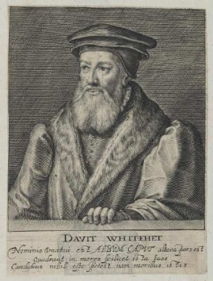 Bildnis des Davit Whitehet