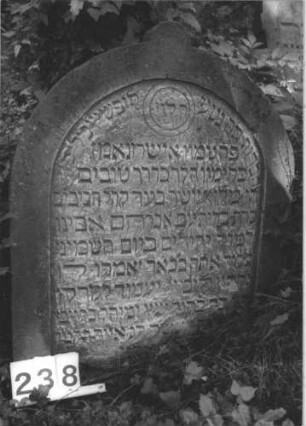 Grabstein 238