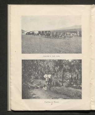 Ackerbau in Beth Alpha.