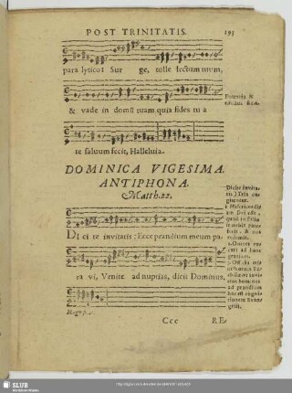 Dominica vigesima post trinitatis