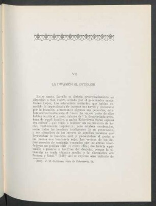 VII - La invasión al interior