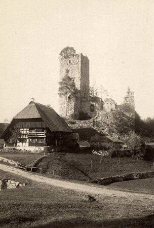 Ruine Waldau
