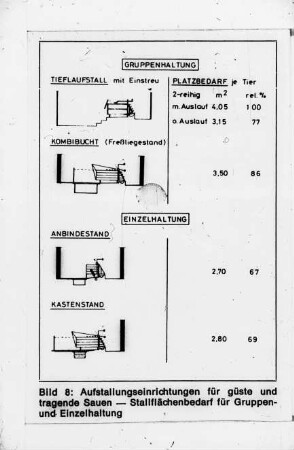 Aufstallungen für güste und tragende Sauen - Stallflächenbedarf für Gruppen- und Einzelhaltung