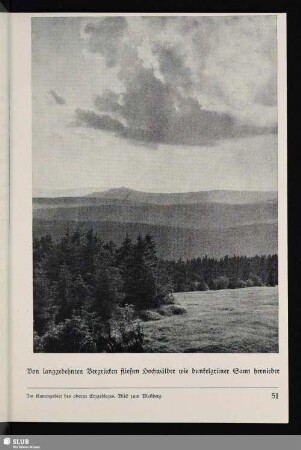 Im Kammgebiet des oberen Erzgebirges, Blick zum Pleßberg