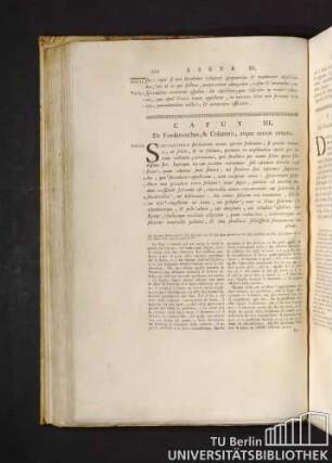 Caput III. De Fundationibus, & Columnis, atque aerum ornatu. Capitolo III. Delle Fondamenta, e delle Colomne, e de'loro ornamenti.