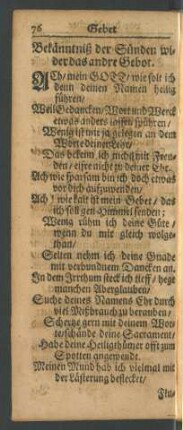Bekänntniß der Sünden wider das andre Gebot