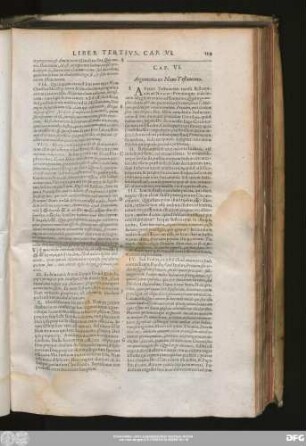 Cap. VI. Argumenta ex Novo Testamento.