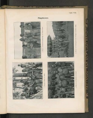 Tafel VIII. Eingeborene. 3. Männer aus Kararau I am Sepik.