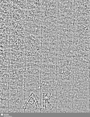 AK = S.643/644