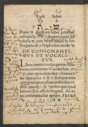 De Consonantibus Et Vocalibus.