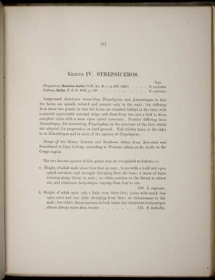 Genus IV. Strepsiceros.