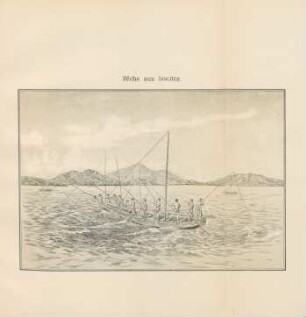 Peche aux bonites