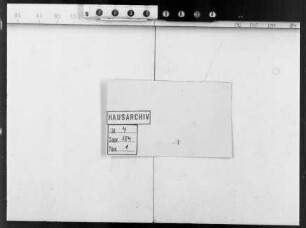 . Korrespondenz des Landgrafen Ernst Ludwig mit seiner zweiten Gemahlin Gräfin Luise Sophie v. Seiboldsdorf, geb. Spiegel zum Desenberg: Band 11 (106 Briefe)