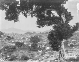 Stadtbild : Blick auf Häuser der Stadt und Bucht