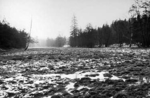 Tharandt-Triebisch, Tharandter Wald. In den Triebischwiesen zwischen Hartha und Grund